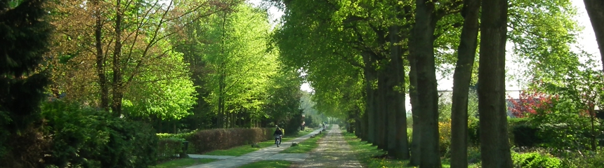 Valtherzandweg achter de Zonnehoek exloo drenthe