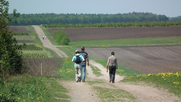 wandelen of fietsen rondom groepsaccommodatie drenthe