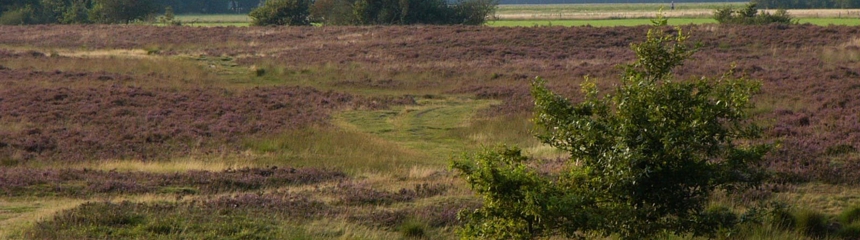 Molenveld bij exloo drenthe